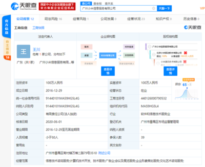 洪鋒卸任廣州小米信息服務(wù)法人等職位，信息技術(shù)咨詢服務(wù)業(yè)務(wù)調(diào)整引關(guān)注
